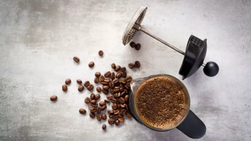 Cilio French Press Test: Die 4 besten Cilio Kaffeebereiter im Vergleich
