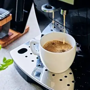 Nespresso Zenius entkalken ZN 100 Pro: Schritt-für-Schritt-Anleitung